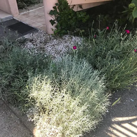 Apartamento Climatisé Piscine Parking - Prix Du Voyageur 2023 Et 2024 ! Merci