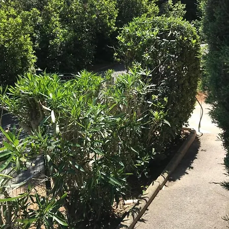 Climatise Piscine Parking - Prix Du Voyageur 2023 Et 2024 ! Merci * Cogolin